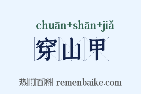 穿山甲是什么意思的图片